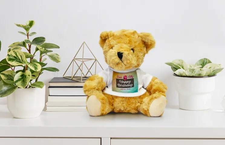 Birthday teddy bear lifestyle