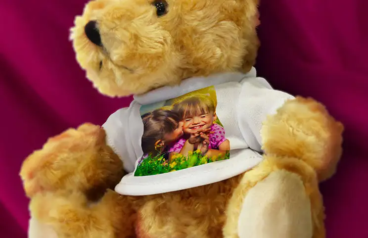 Teddy bear close up