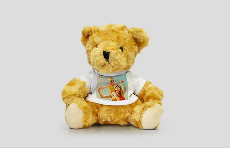 Teddy bear general
