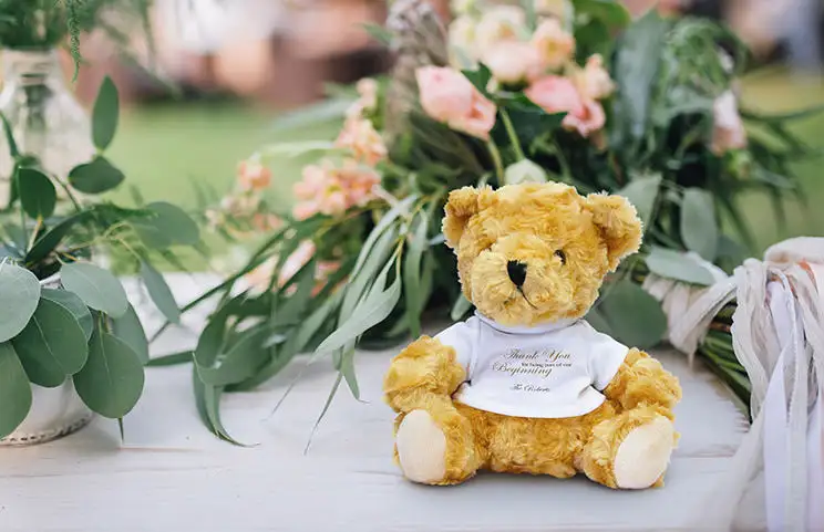 Teddy bear outside