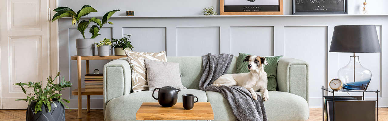 Home Décor Ideas: 5 Top Home Decor Trends for 2021