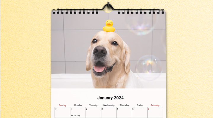 photo calendar 