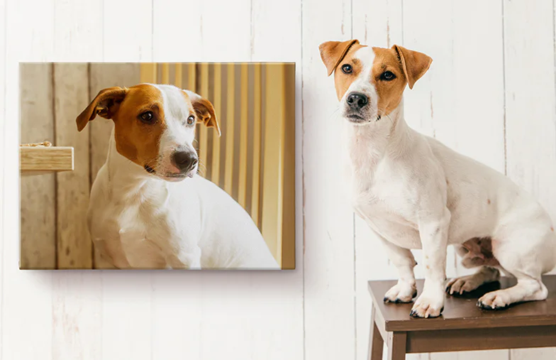 Pet Photo Canvas Prints