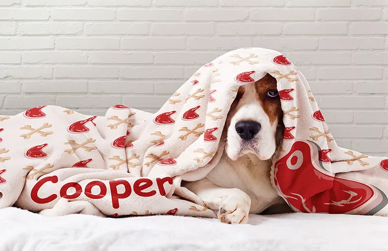 Personalised fleece blanket on sofa