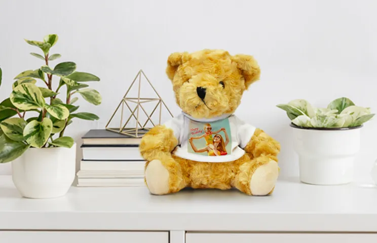 Birthday teddy bear lifestyle