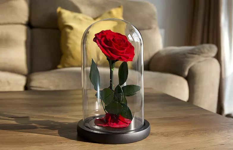 Eternal Roses|Eternal Roses|single-flower rose box|7 flowers roses box|single-flower rose drawer|single-rose in glass dome|||||
