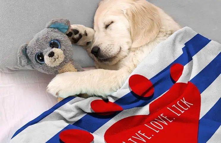 Puppy in bed with custom dog blanket with personalised text design
