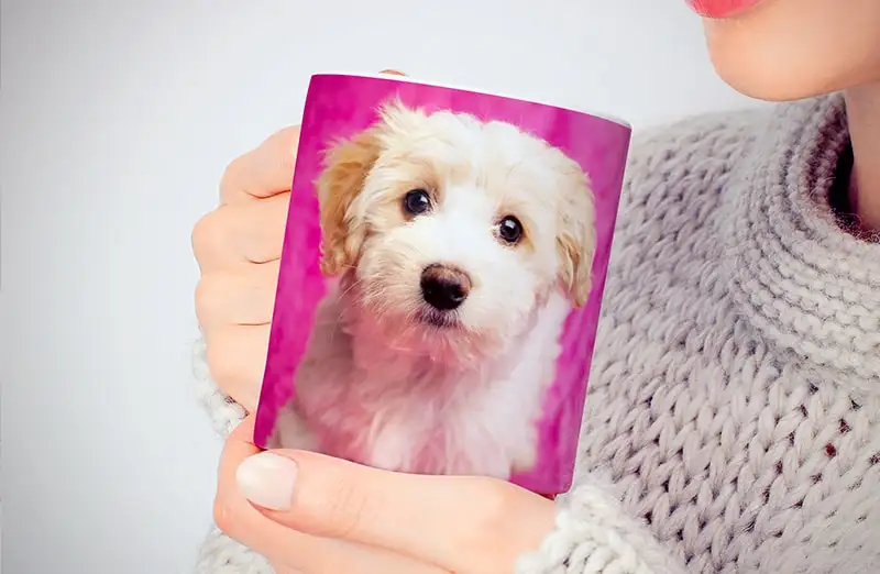 Personalised photo mug with your own photo of a dog on