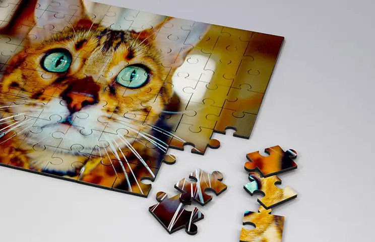 Wooden puzzle of cat