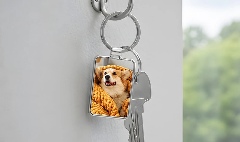 Easy Online Creation