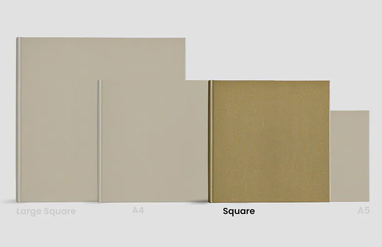 Timeless Beige